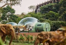 anantara resort ταϊλάνδη διάφανεσ φούσκες ελέφαντες