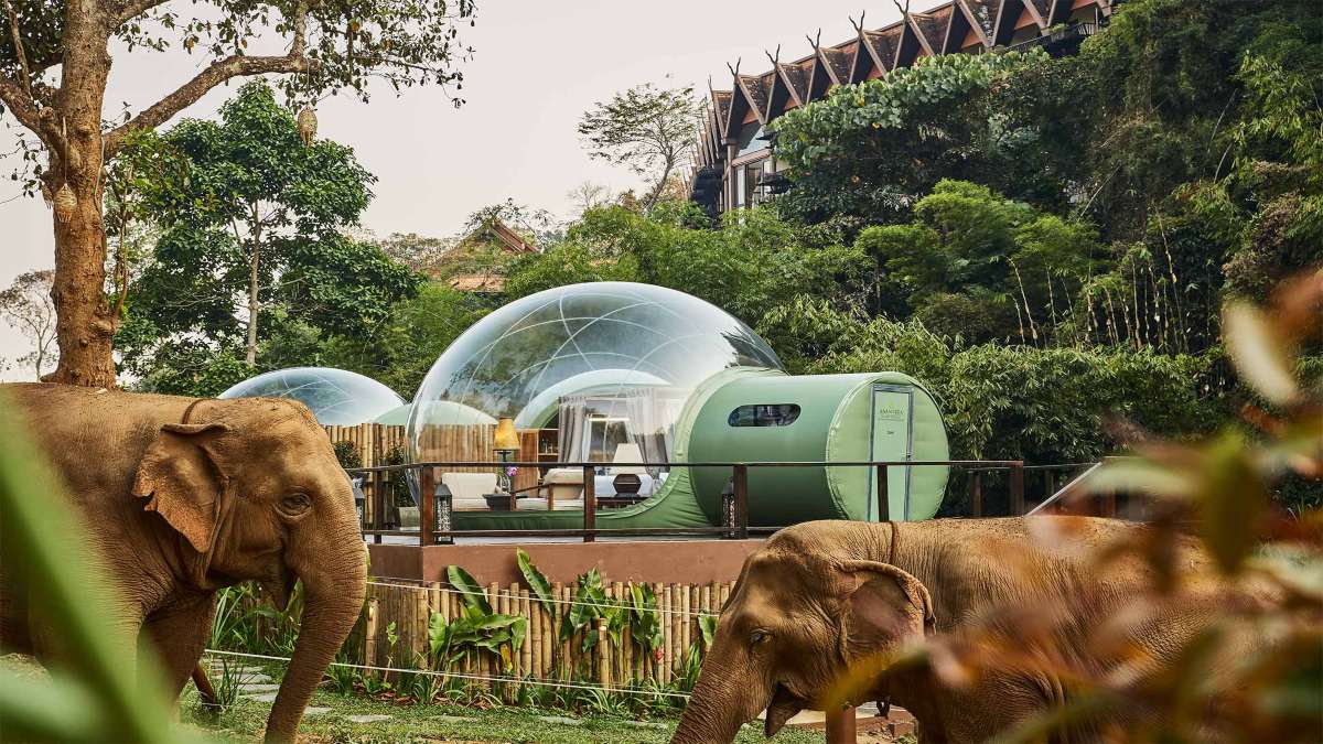 anantara resort ταϊλάνδη διάφανεσ φούσκες ελέφαντες