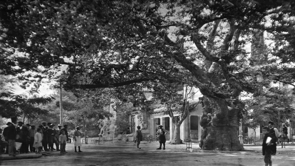 Κηφισιά 1920 Παλιά Αθήνα