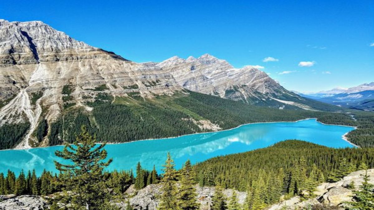 Peyto Lake, Καναδάς