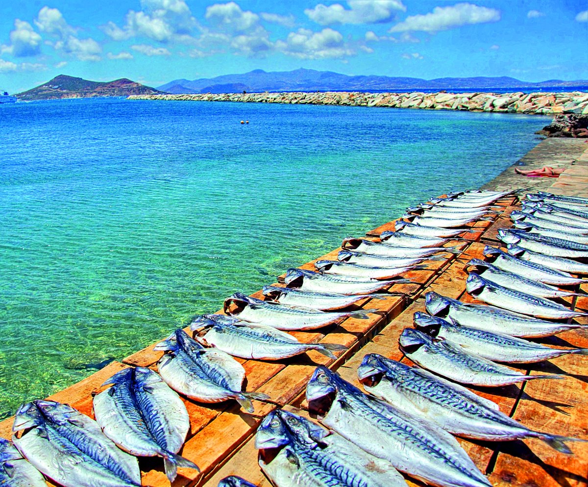 Προετοιμασία για παστά ψάρια, Νάξος