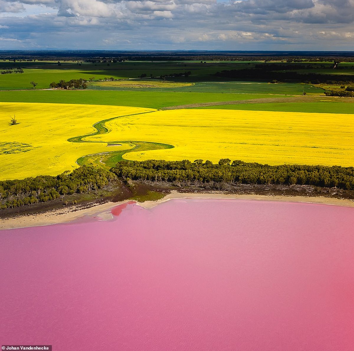 Ροζ λίμνη Αυστραλία