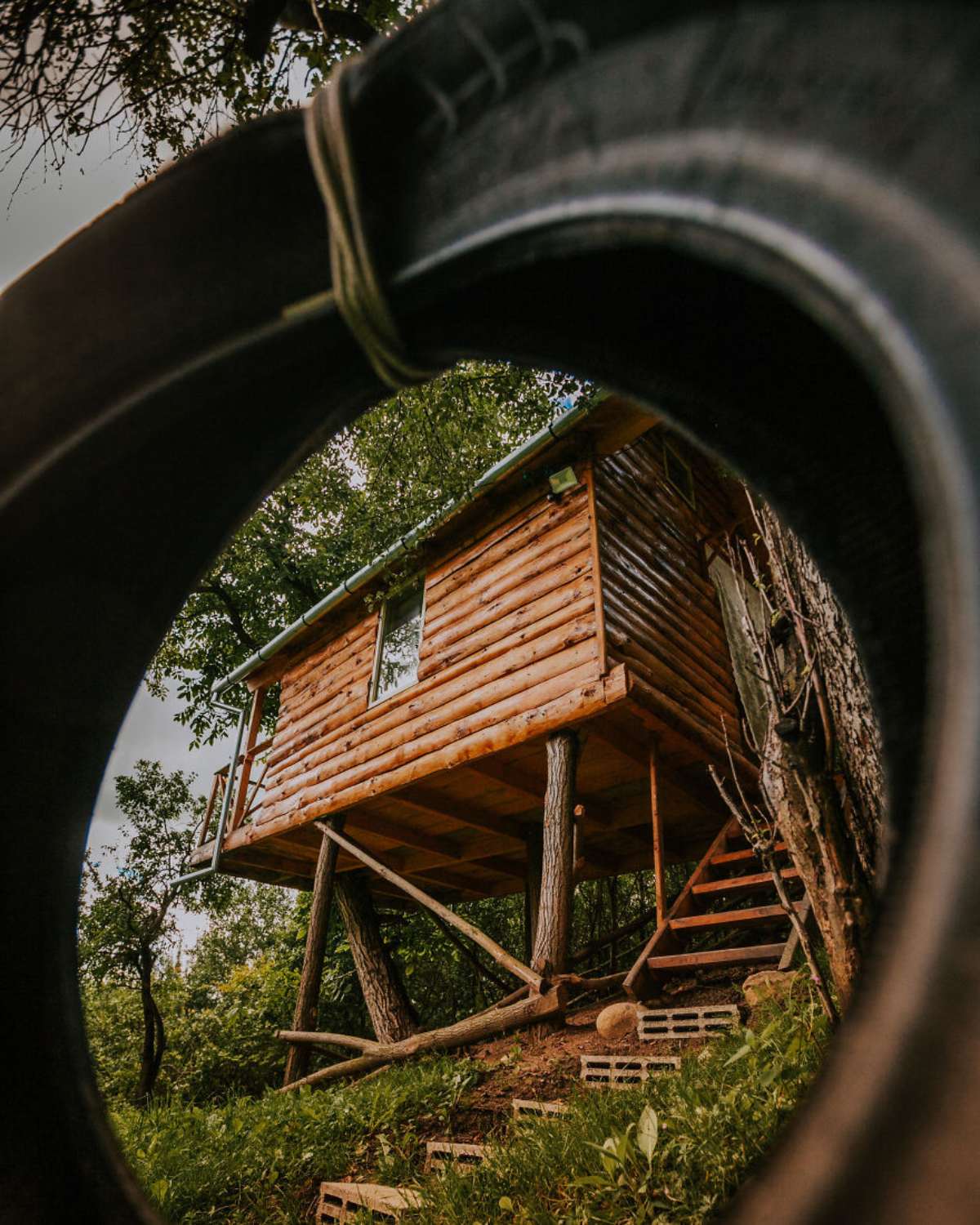 transylvania tree house δεντρόσπιτο εξωτερική λήψη ρόδα