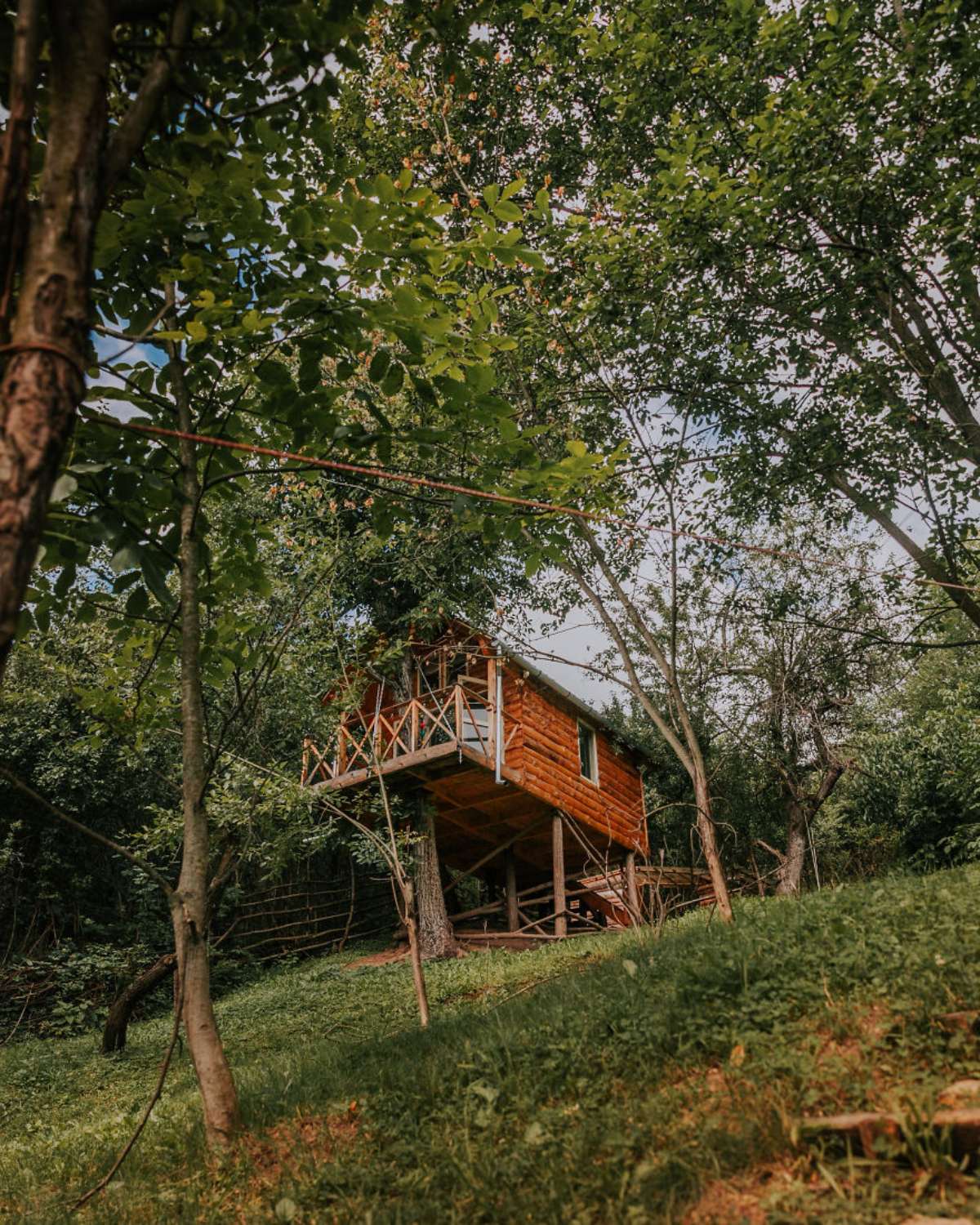 transylvania tree house δεντρόσπιτο εξωτερική λήψη μακρινό