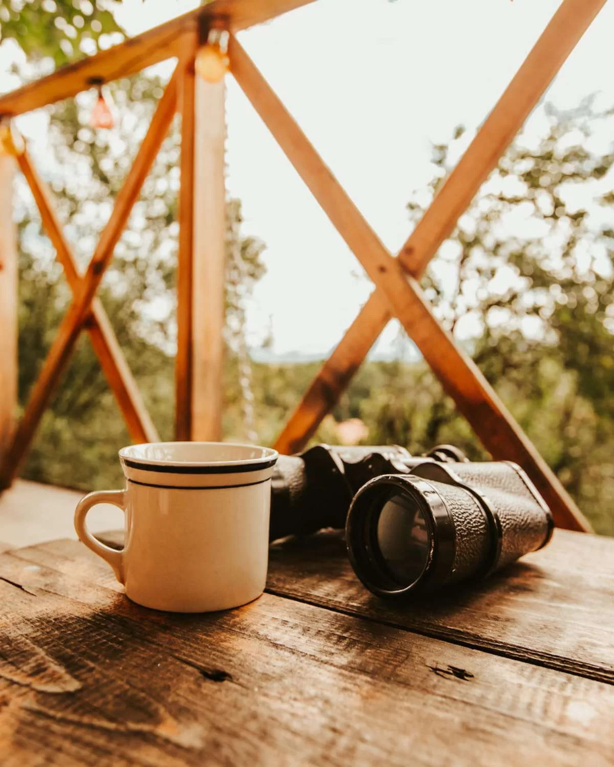 transylvania tree house δεντρόσπιτο βεράντα still life