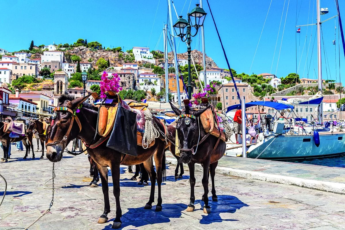 Ύδρα, γαϊδουράκια στο λιμάνι