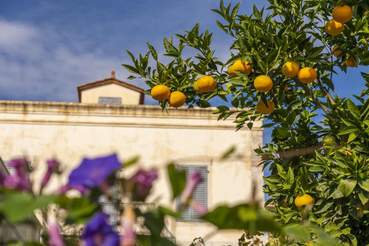 Γαλαξίδι, εντυπωσιακά σημεία