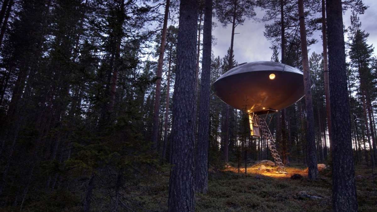 Tree Hotel 