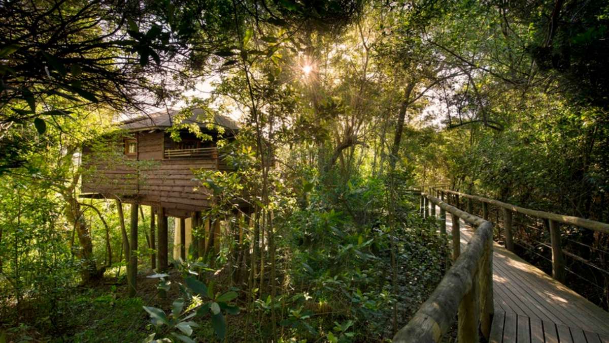 Tsala Treetop Lodge, Νότια Αφρική