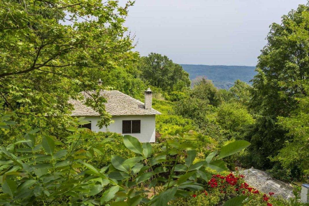 Vyzitsa-mesa-sth-fysh
