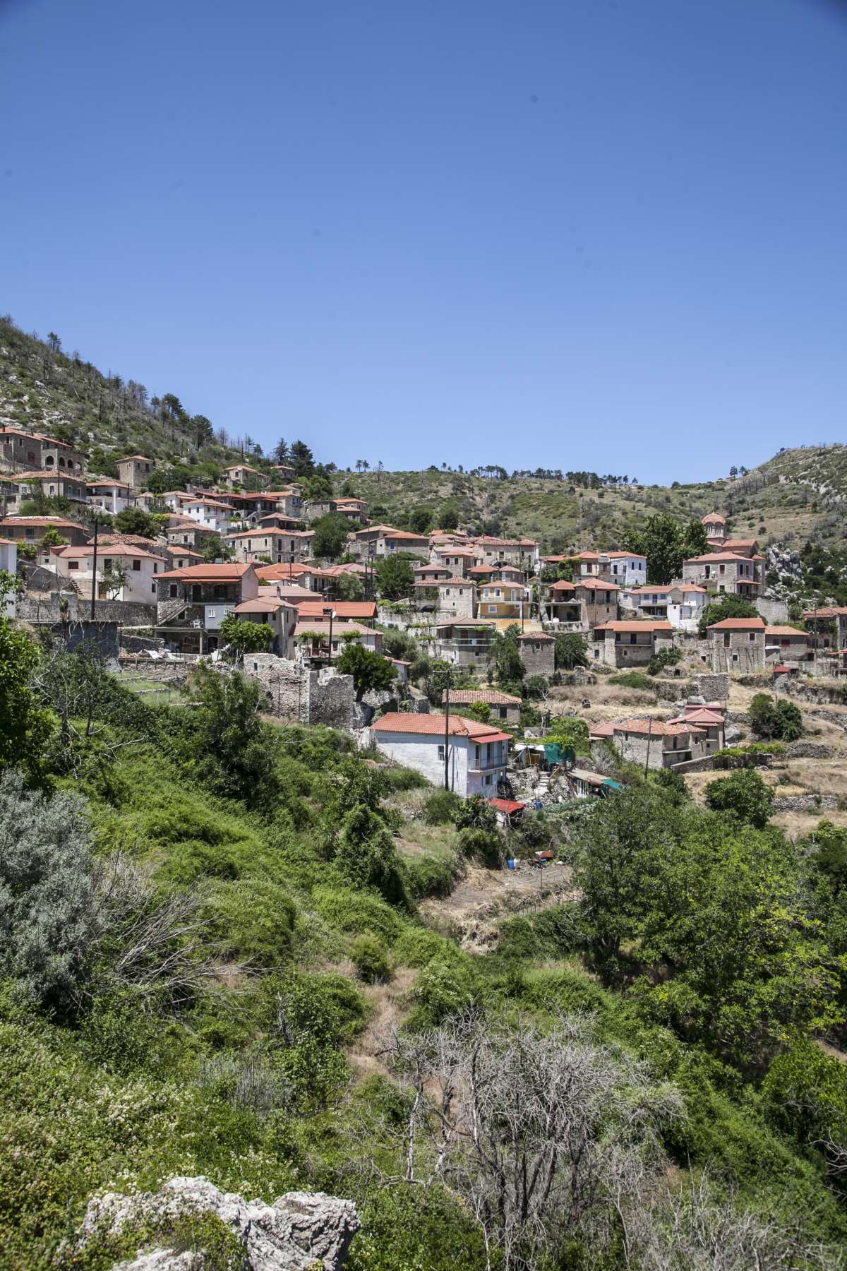 Αγριανοί Λακωνίας, γενική άποψη του χωριού