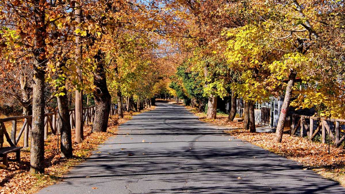 Δρόμος της αγάπης Βυτίνα με φθινοπωρινά χρώματα