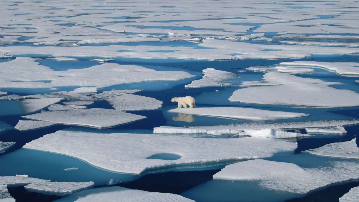 λιώσιμο πάγων Αρκτική
