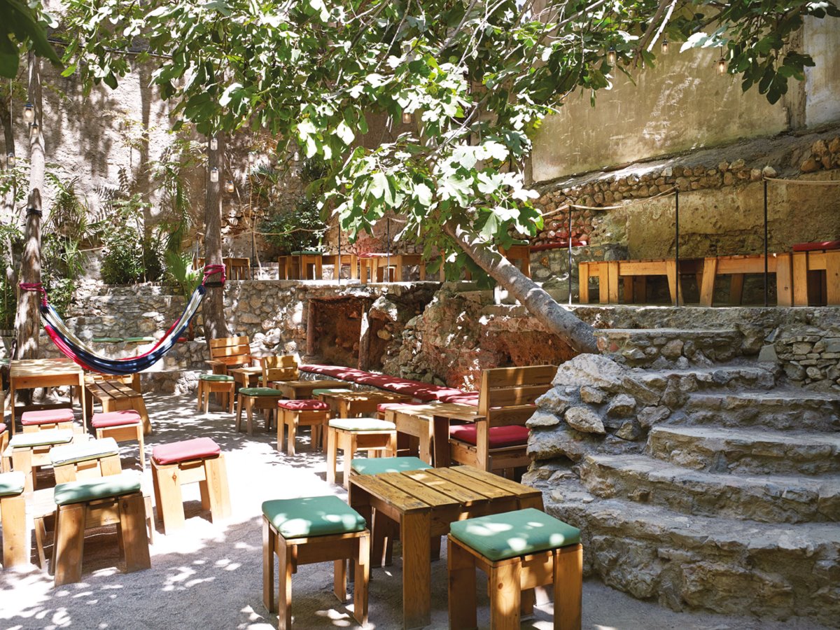 cafes Αθήνα με πράσινο όμορφοι κήποι Six DOGS
