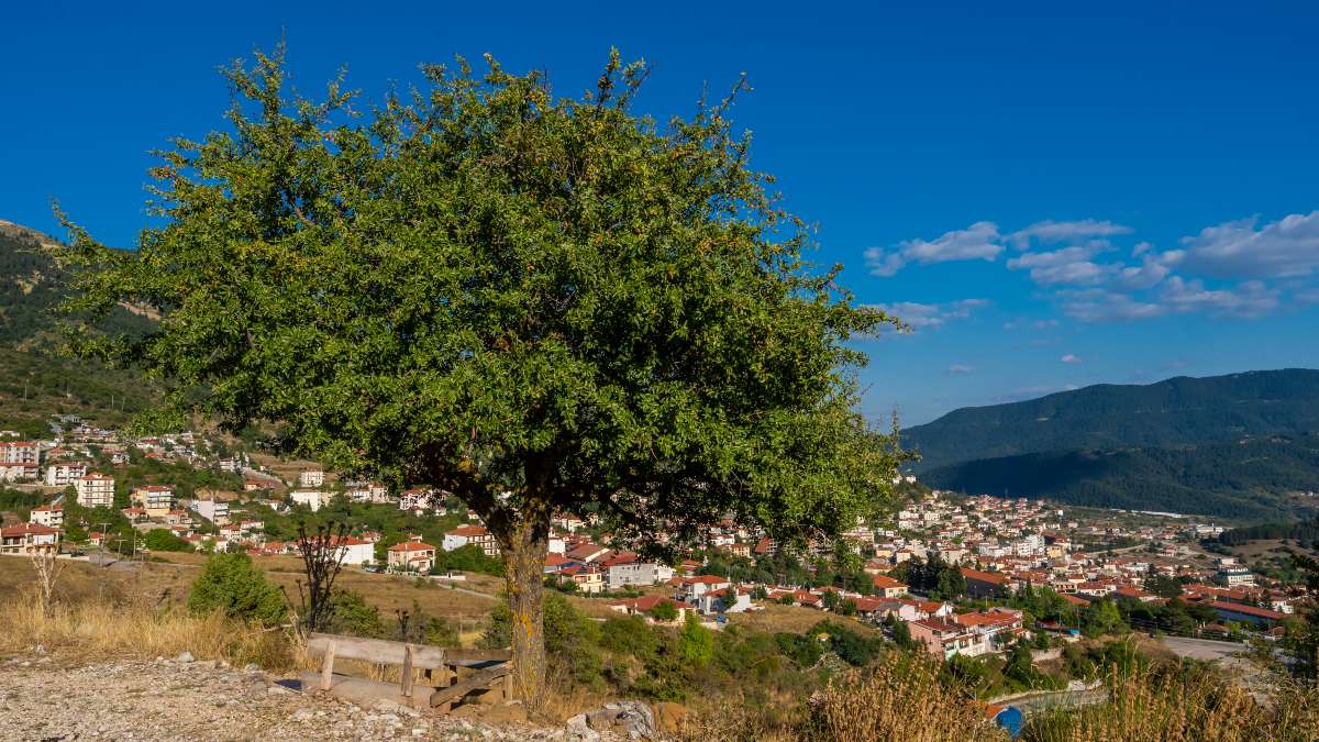 Καρπενήσι