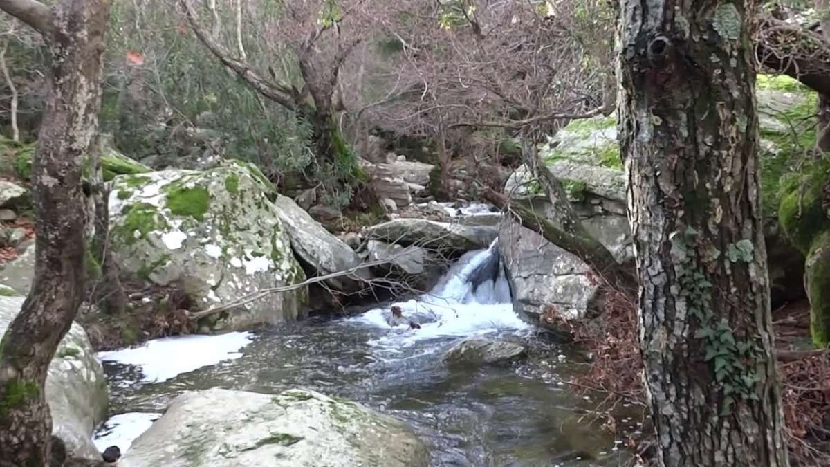 καταρράκτες Πυθάρας Άνδρος κοντινό ροή νερού σε βράχια