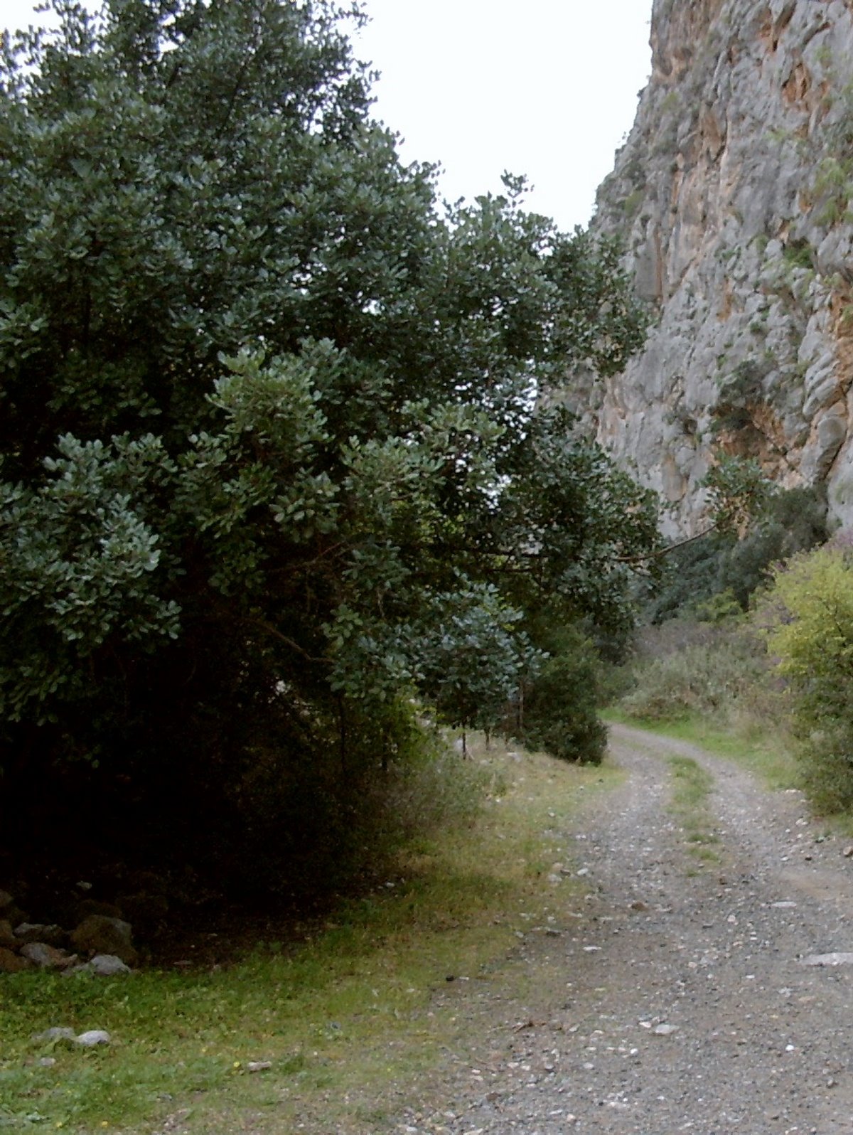 Μυστικές στάσεις Ναύπλιο Φαράγγι Καταφύκι Μονοπάτι Περσεφόνης