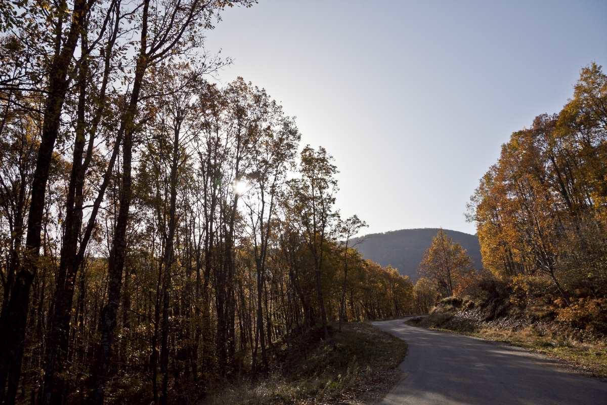 Το Νυμφαίο είναι περιτριγυρισμένο από τη φύση