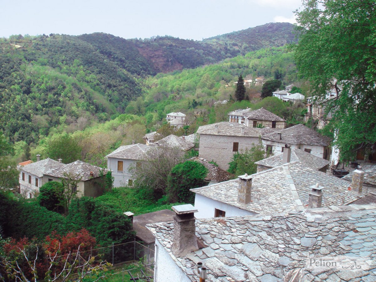 Πινακάτες χωριό Πήλιο μέσα στο πράσινο