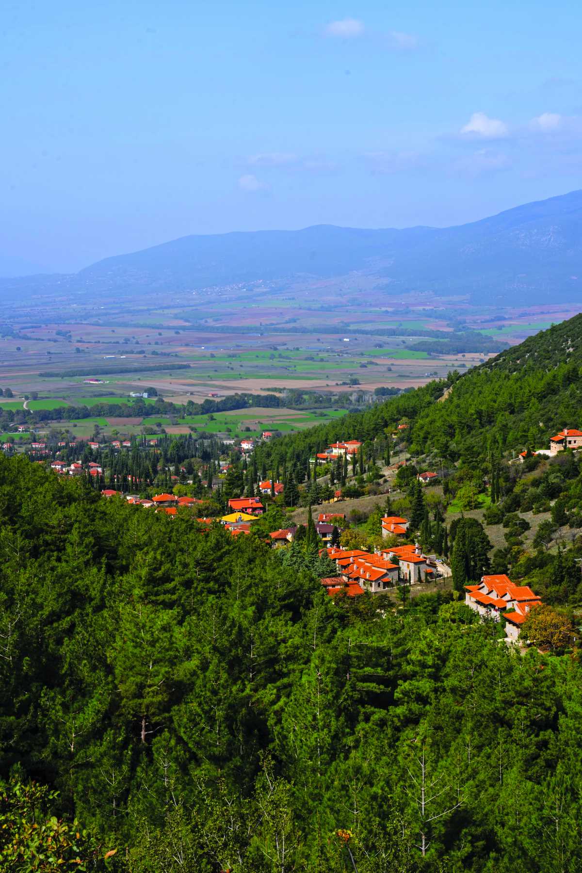 Πολύδροσος, Παρνασσός