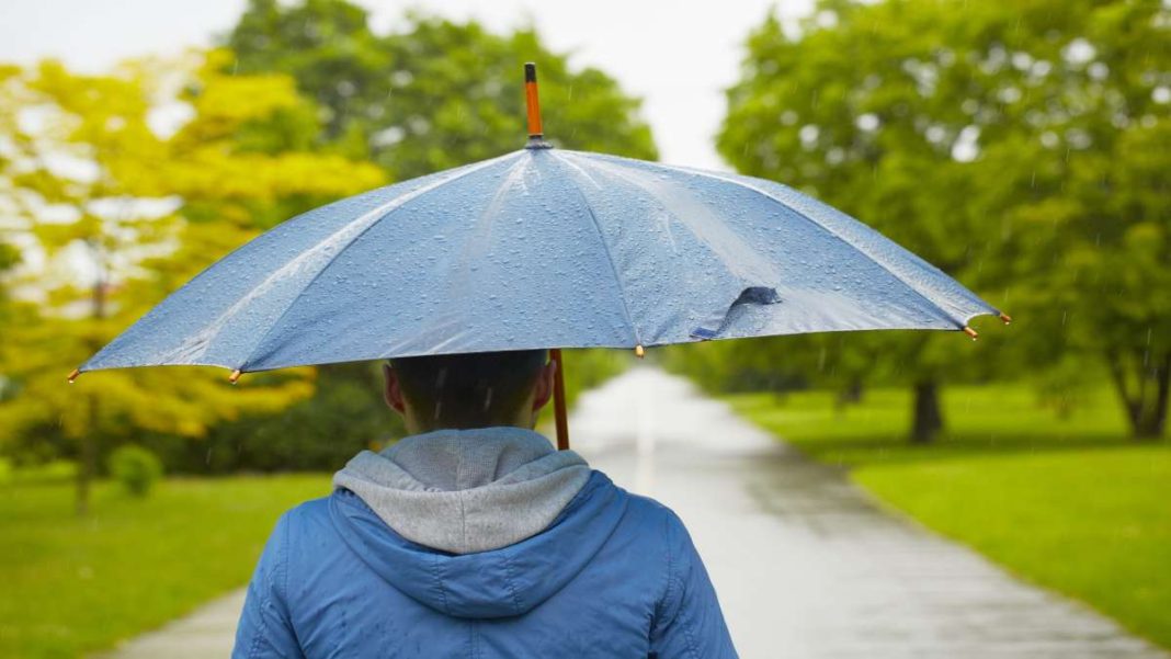 αιθριος καιρός φύση κοπέλα με ομπρέλα