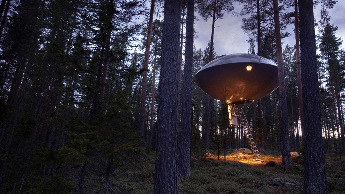 tree hotel UFO εξωτερική κοντινό