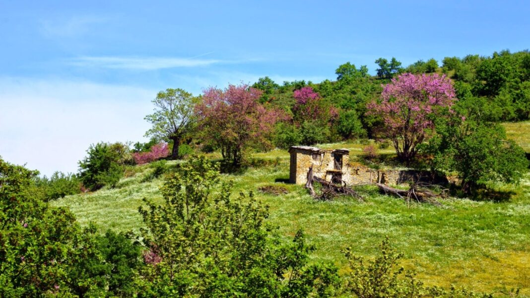 xoria-karditsa Χωριά Καρδίτσας