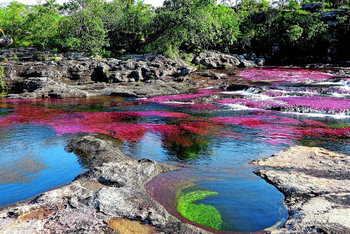 Caño Cristales, Κολομβία 