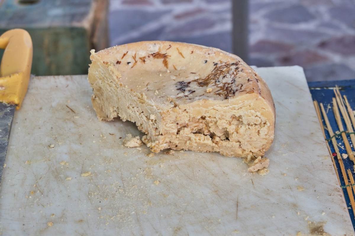 Casu marzu, Σαρδηνία, Ιταλία