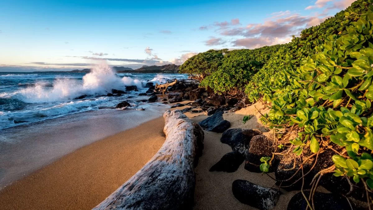 Παραλία, Kauai Χαβάη