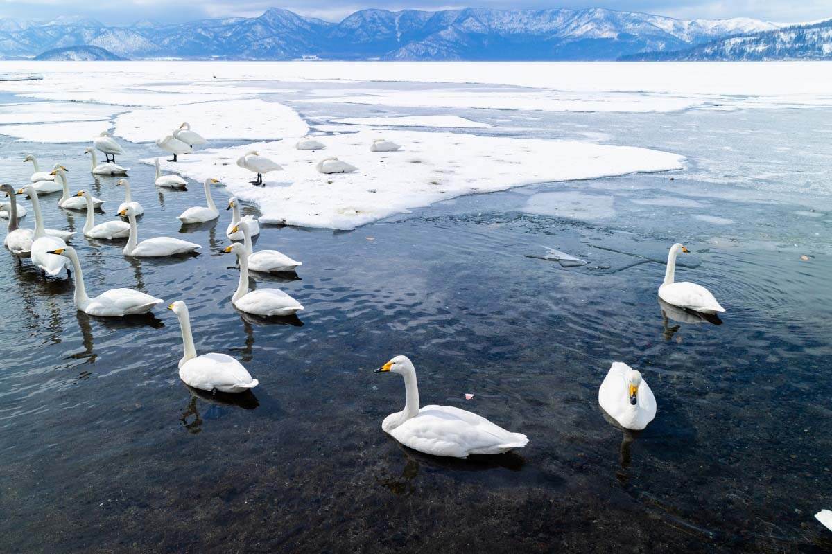 Kussharo, Hokkaido, Ιαπωνία