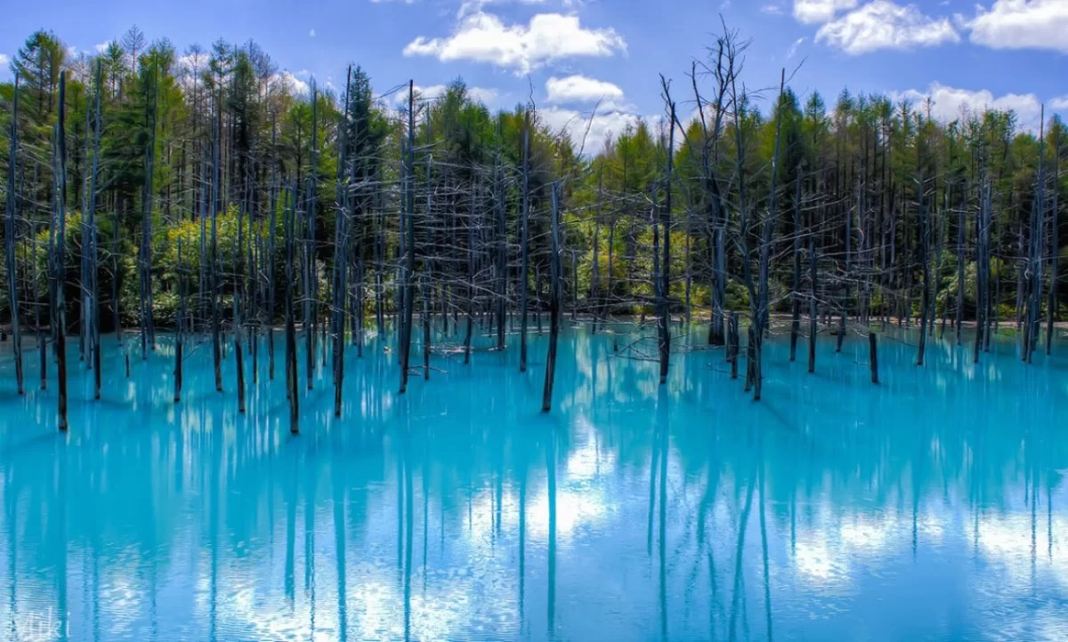 Blue Pond Λίμνη Ιαπωνία σε μπλε χρώμα