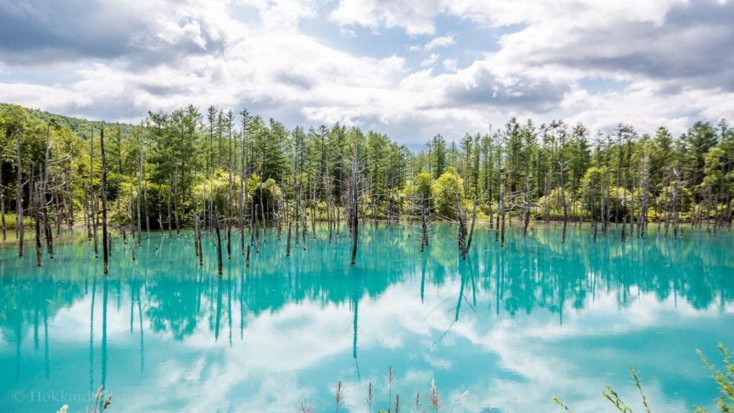 blue-pond-biei-kentriki(1) Blue Pond Λίμνη Ιαπωνία