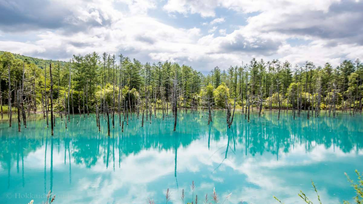 Blue Pond Λίμνη Ιαπωνία