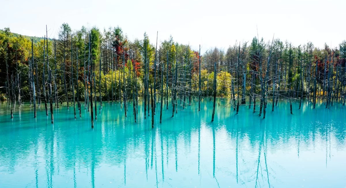 Blue Pond Λίμνη Ιαπωνία σε τιρκουαζ ανάλογα με το φως