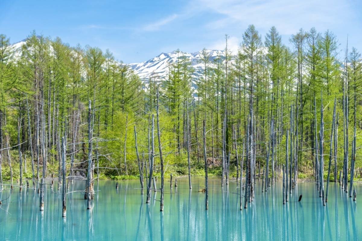 Blue Pond Λίμνη Ιαπωνία μπλε λίμνη με δέντρα στο νερό