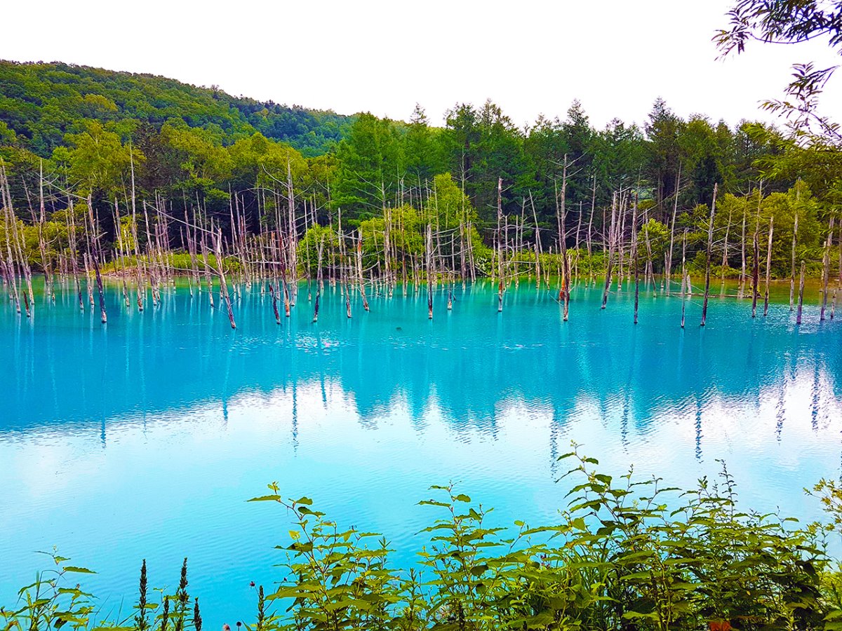 Blue Pond Λίμνη Ιαπωνία αλλάζει χρώμα ανάλογα με το φως από μπλε σε πράσινο