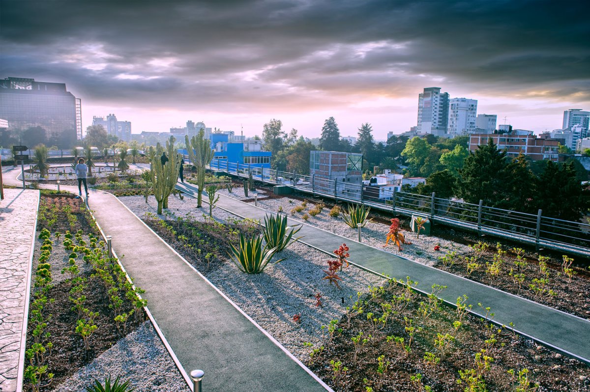 Πράσινη ταράτσα σε πολυκατοικία στο Μεξικό