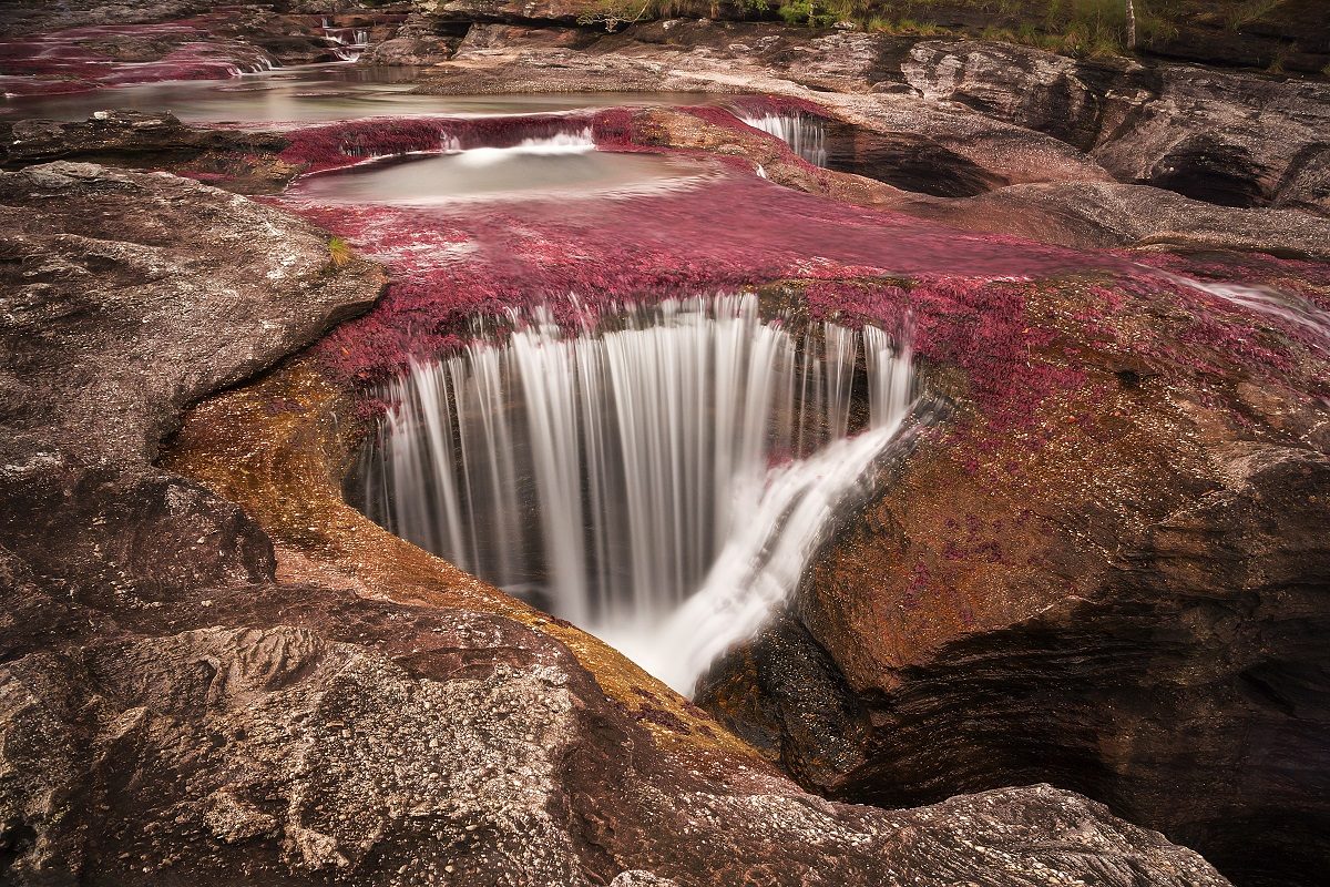 Caño Cristales, το ποτάμι των 5 χρωμάτων Κολομβία 