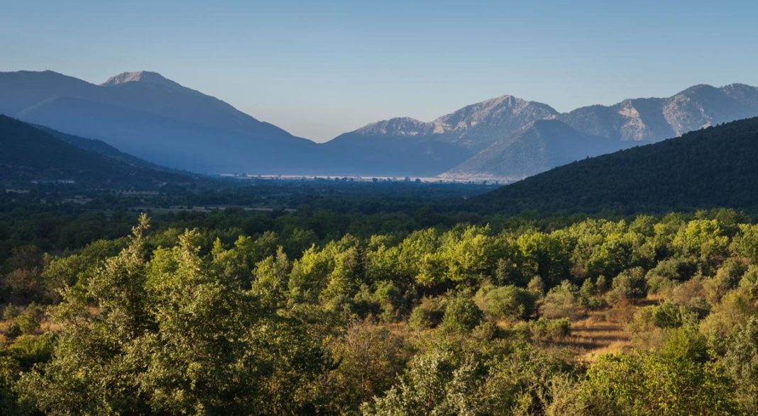kampos-feneos-prasino