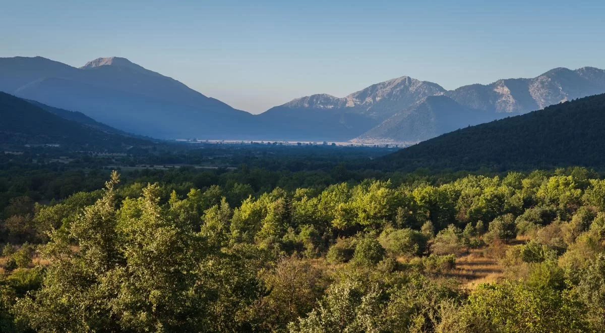 Κάμπος Φενεού Ελβετία Ελλάδας πράσινο τοπίο