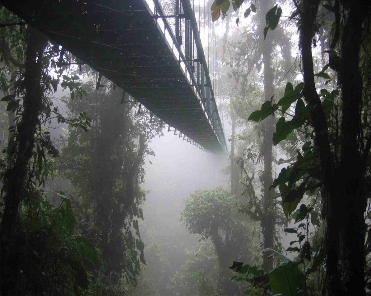Suspension Bridge Montenegro, Κόστα Ρίκα