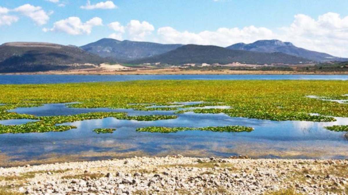 Παραλίμνη δίπλα στην Υλίκη φαινόμενο υπερχείλισης