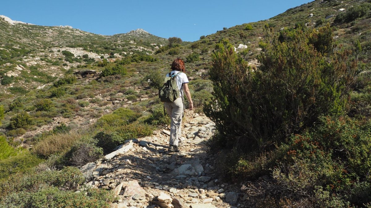 Πεζοπορία στην Πεντέλη κοντά στην Αθήνα