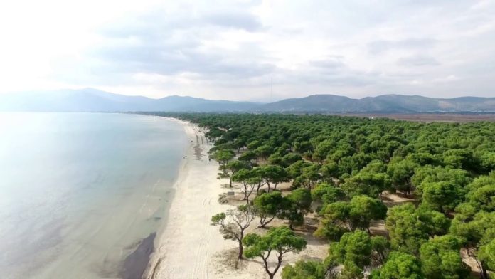 Οι 4 μεγαλύτερες παραλίες της Αττικής για βουτιές… με άνεση!