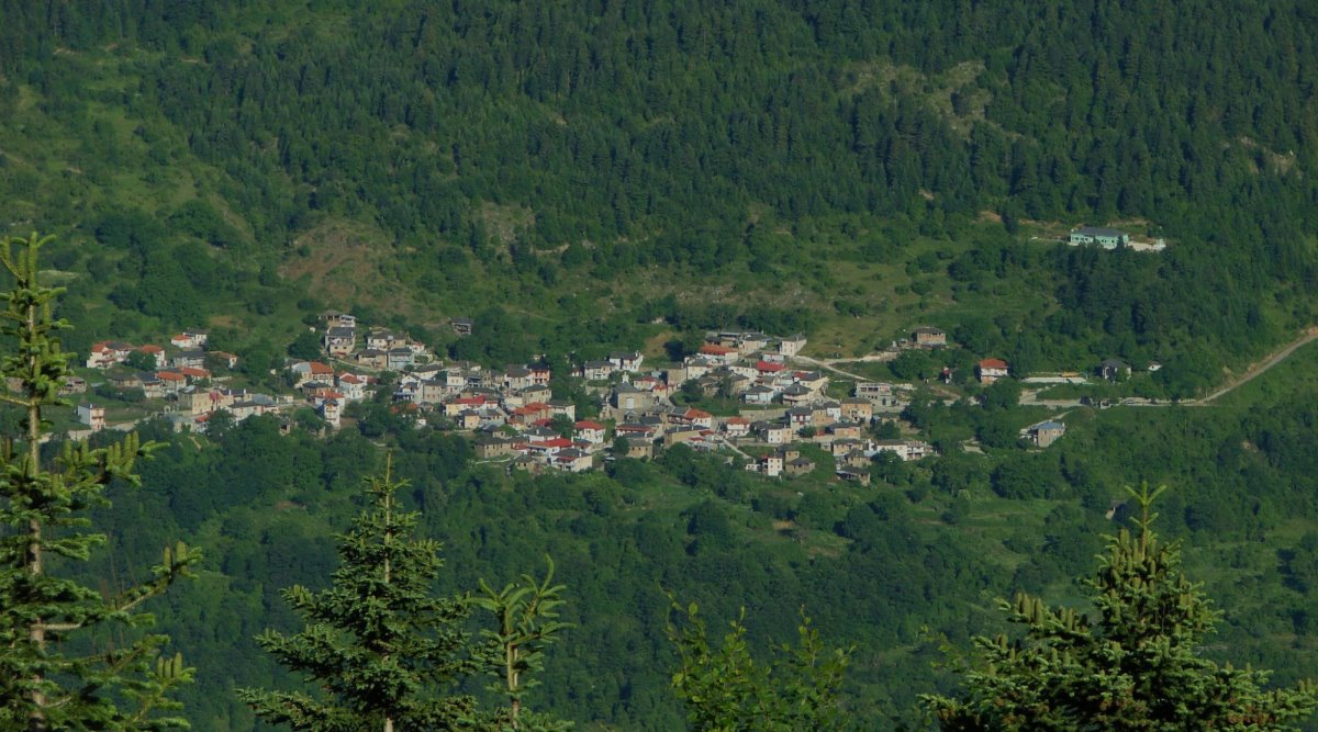 Πληκάτι Ιωαννίνων μέσα στο πράσινο