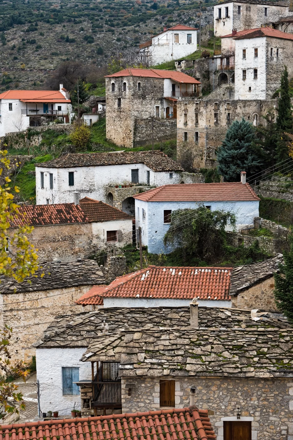 Πραστός Αρκαδίας, πέτρινα αρχοντικά και πυργόσπιτα 