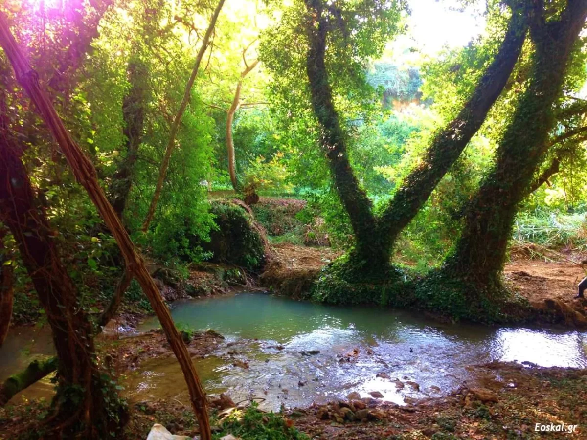 Στενωσιά Μεσσηνία χωριό με όμορφους καταρράκτες που δημιουργούν λιμνούλες