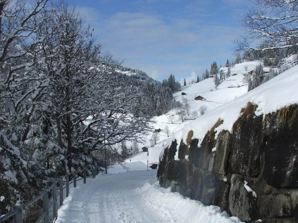 Wengen μονοπάτι