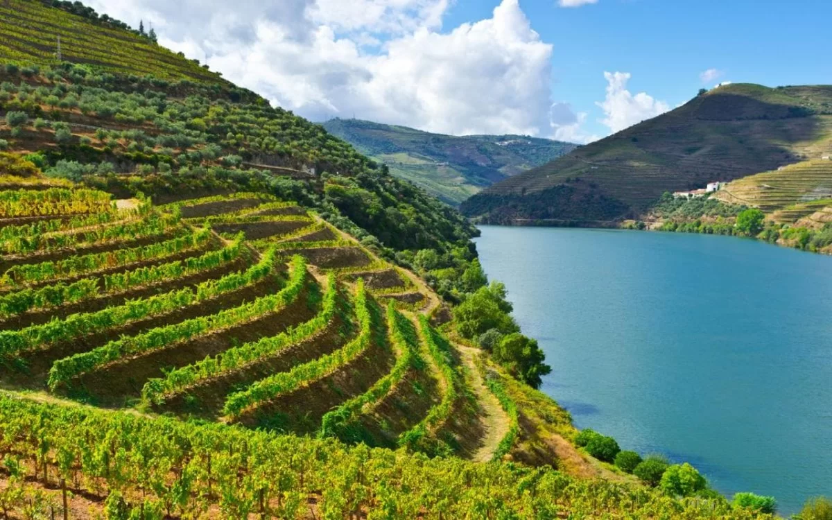 Αμπελώνες Ευρώπη  Douro αμπελώνες δίπλα στη θάλασσα